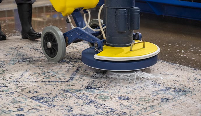 In home rug cleaning