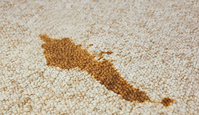 Large dark brown liquid stain on cream berber carpet