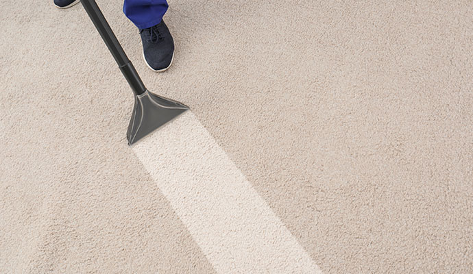 Professional carpet cleaning service