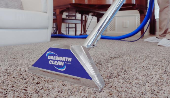 Professional carpet cleaning and odor removal service by Dalworth Clean