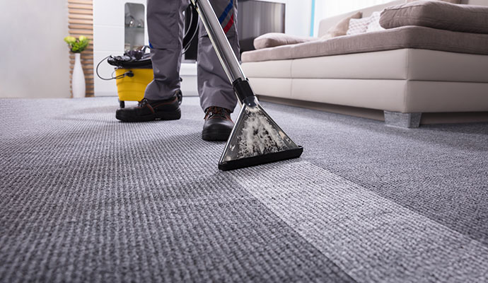 Professional residential carpet steam cleaning service in living room