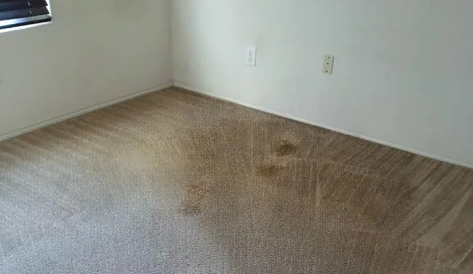 Carpet stain