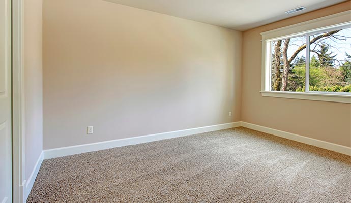 Clean carpet on an empty room