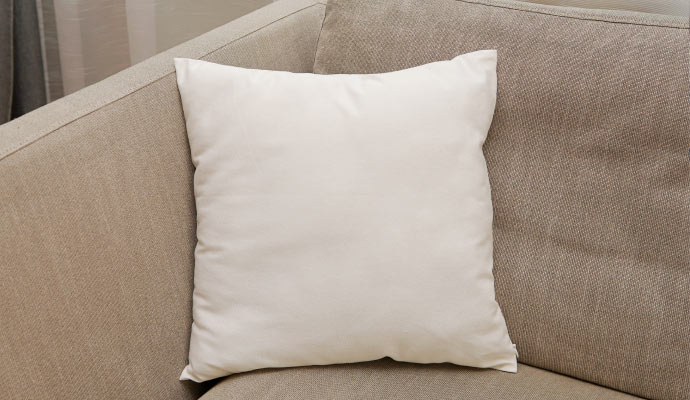 Fabric Protector Treatment for Upholstery in D/FW