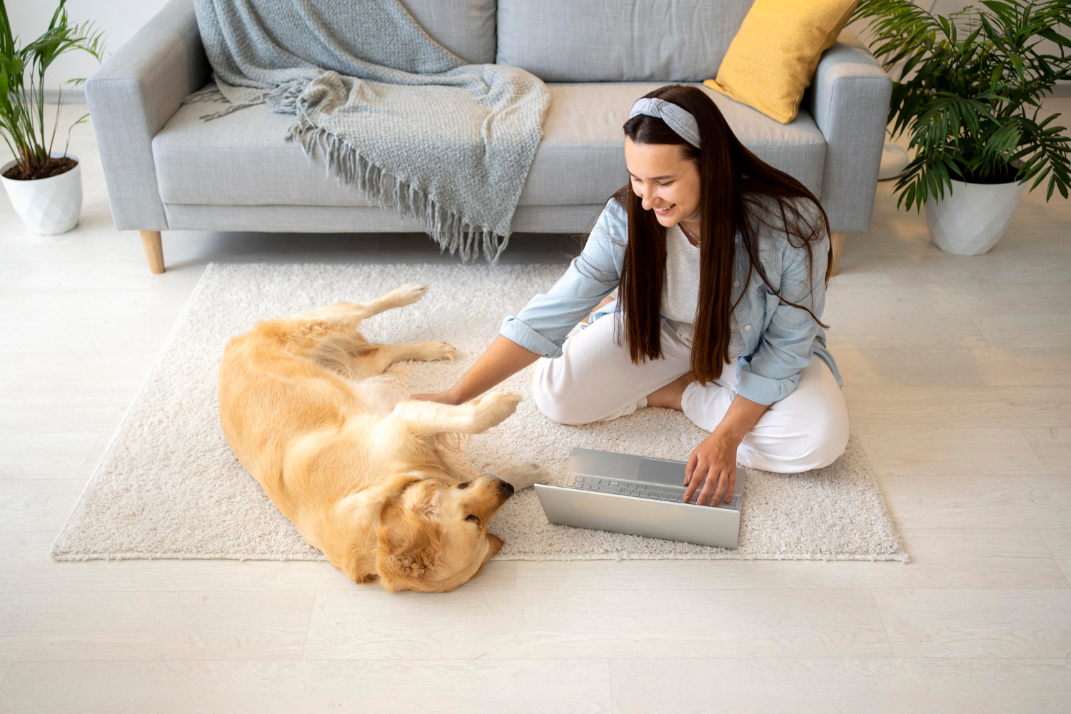 Get Rid of Stubborn Pet Smells From Plano Carpets